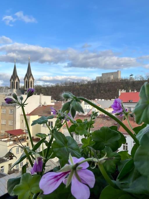 Romantic Terrace In Karlin Prague