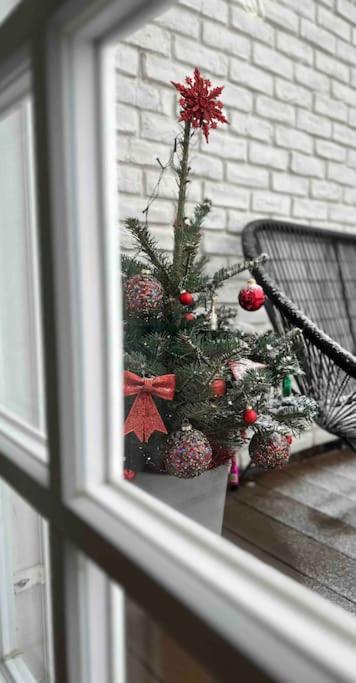 Apartment Romantic Terrace In Karlin Prague