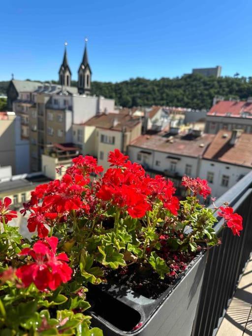 Apartment Romantic Terrace In Karlin Prague